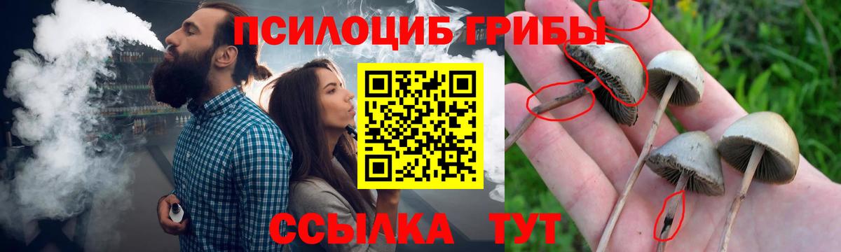 Галлюциногенные грибы прущие грибы  Вход с VPN  Волгоград  купить   Псилоцибиновые грибы мухоморы 