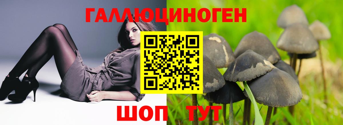 Галлюциногенные грибы MAGIC MUSHROOMS Волгоград